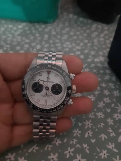 pagani design PD 1718