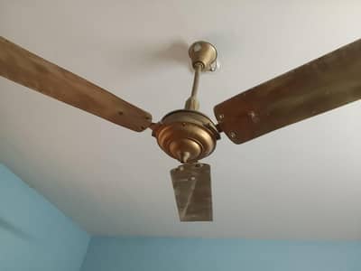 fan for sale