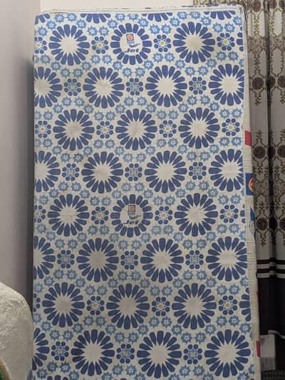 Master Jet Foam in Warranty