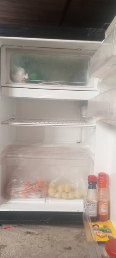 room fridge