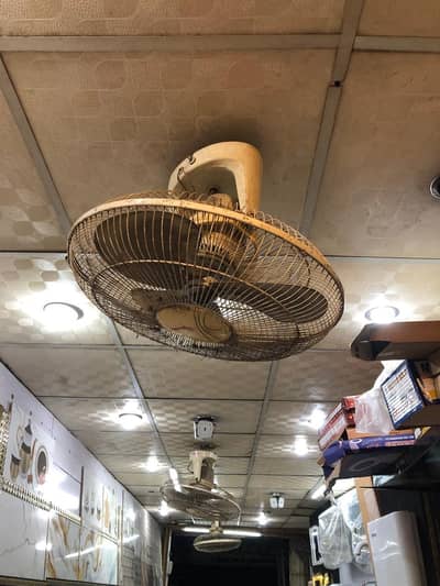 Royal ceilings fan