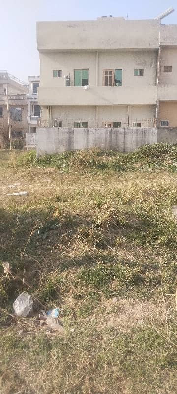 Sun Face Corner Option Plot