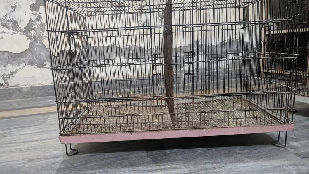 cages 1