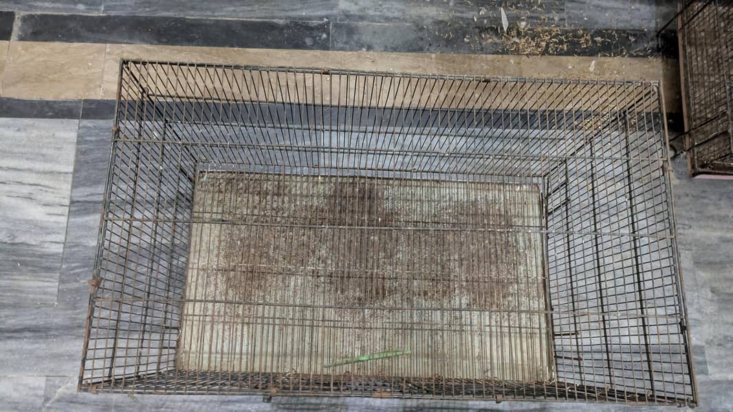 cages 2