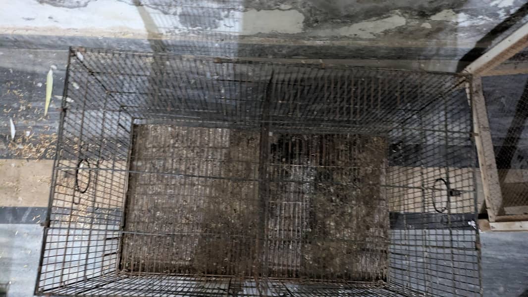 cages 3