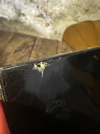 redmagic 8s pro 16/512 PTA approved exchange possible