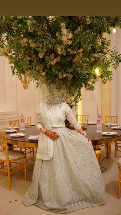 shaadi lehnga / fancy lehnga /fancy dress/ lehnga choli