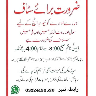 need staff male and female 03224190520