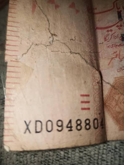 rare gold number 804