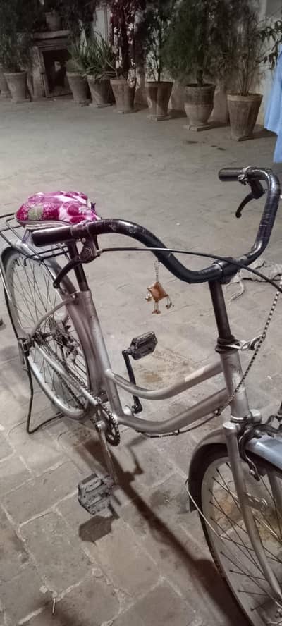 Dubai import cycle new best cycle Japani