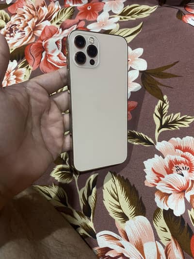 IPhone 12 Pro non PTA jv 256gb  ( 03004940299 call or wpp)