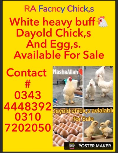 white heavy buff @786