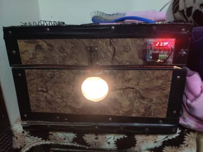 for sale03024649185 Eggs Hascher machine 50 eggs capicity