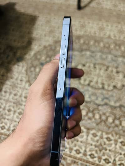 Iphone 13 pro max approved