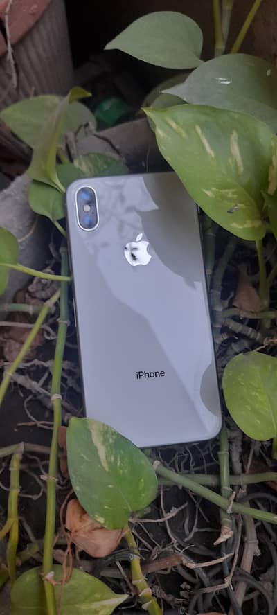 iphone x pta