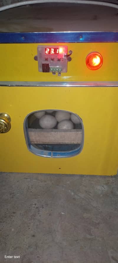egg incubator 25 eggs