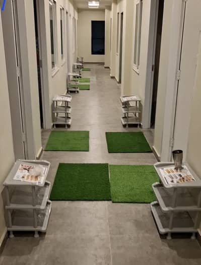 boys hostel room for rent