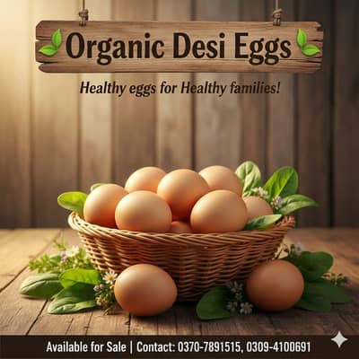 pure desi eggs