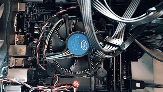 Gaming Beast PC - Alpha Generation