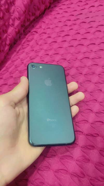 WHATSAPP NUMBER 03319613377