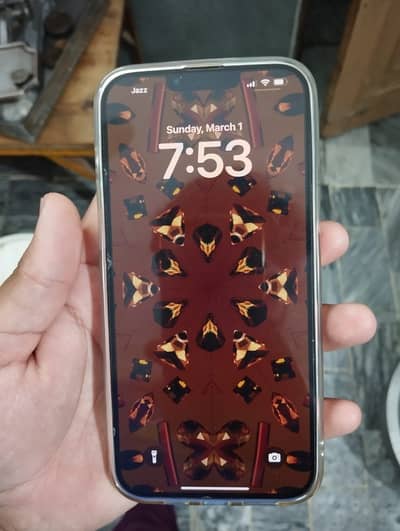 iPhone 13 Pro max pta approved