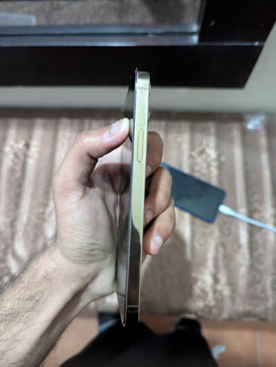 iPhone 12 pro Non PTA factory unlock (with box)