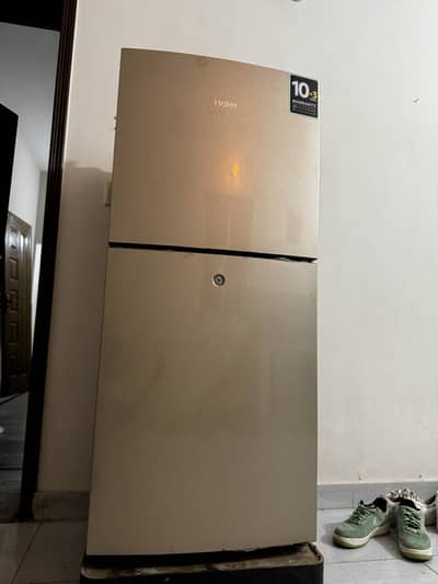 Haier Refrigerator HRF-216 Deepest Freeze