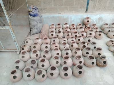 Parrot Cage Accessories – Clay Pots, Nest Boxes & Feeding Trays