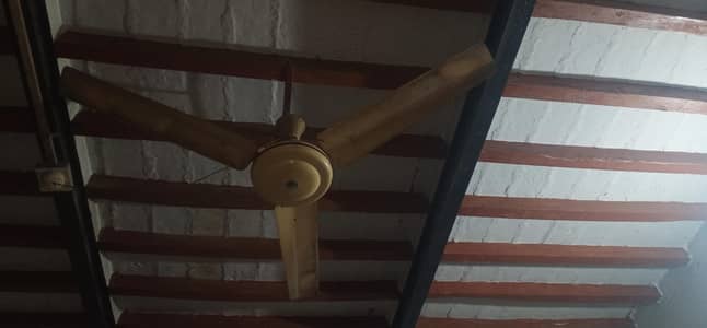 Pak Fan 56 inch size