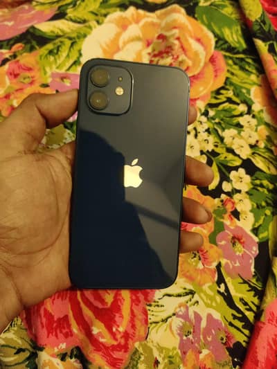 iPhone 12 Factory Unlock 256 GB