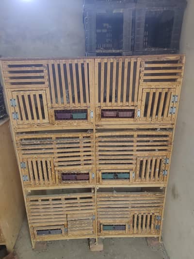 Pigon Cage For Sell