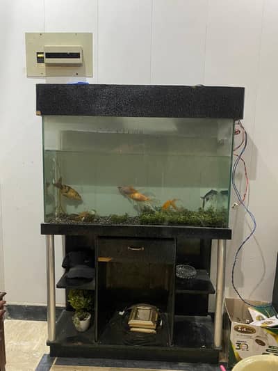 Aquariam tank