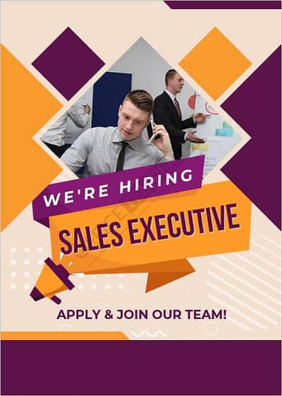 Female Sales Executive (US Campaign)