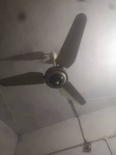 selling fan