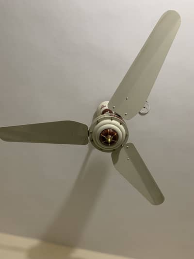 10/10 celling fans Indus Company without any issue