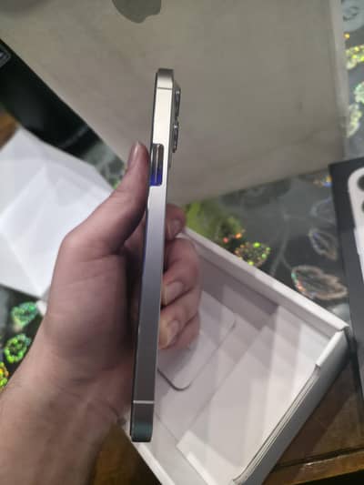 iPhone 13 pro max White