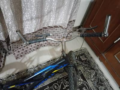 original Morgan cycle