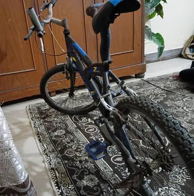 original Morgan cycle