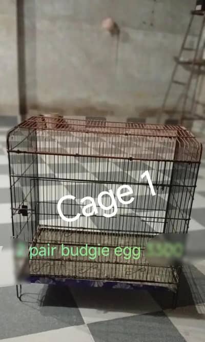 Birds Cage For Sell