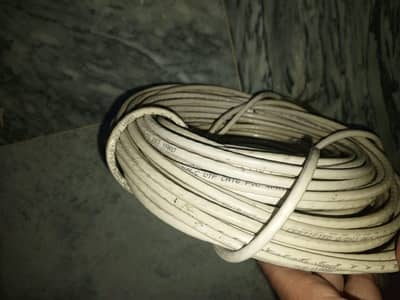 net cable cat6