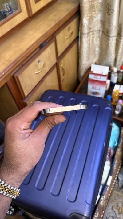 13 Pro max PTA Approved