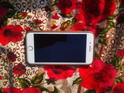 iphone 7 plus 128gb pta approved