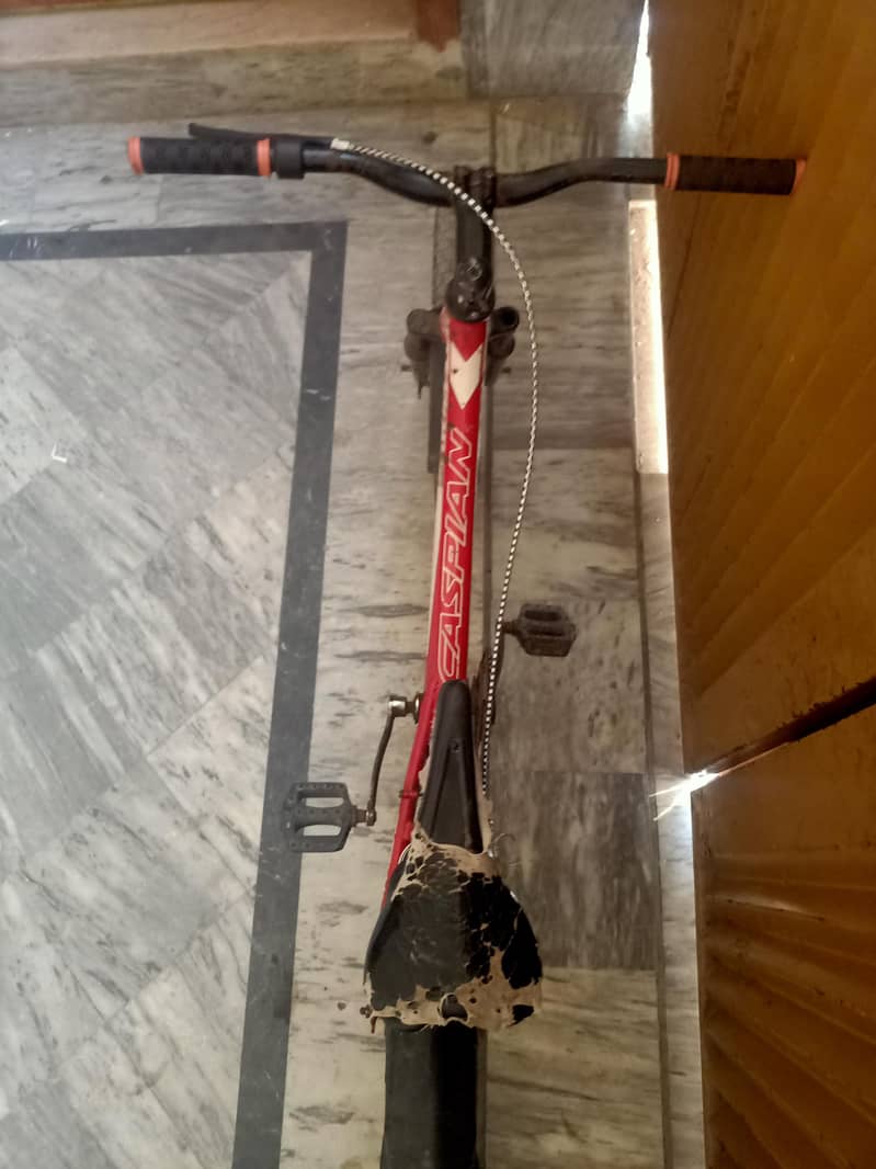 china frame imported cycle 2