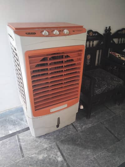 12 Volt Dc Cooler for Sale