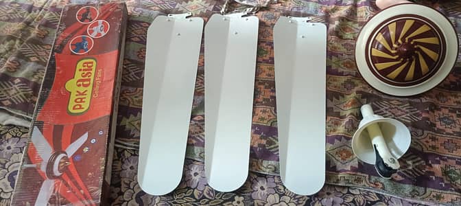 Ceiling fan of Pak Asia