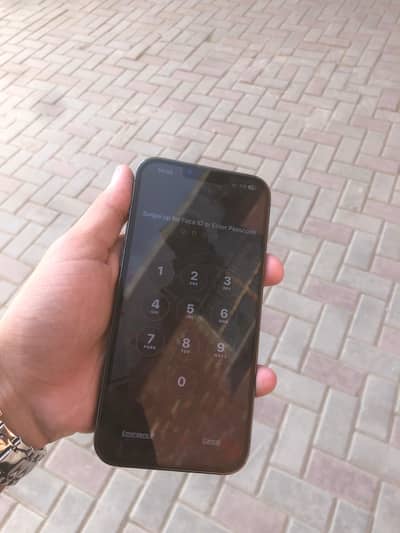 13 Pro Max PTA Approved