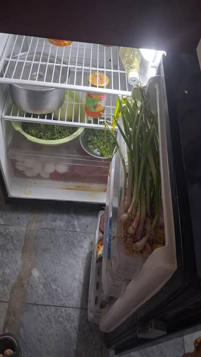 Small Size Pel Refrigerator