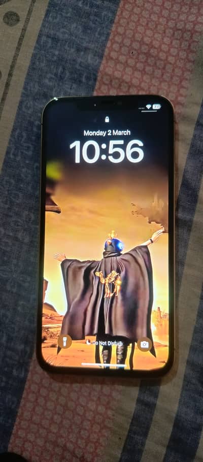 Apple iPhone 12 Pro Max