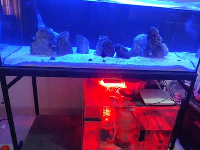 Saltwater Marine Reef Aquarium Tank setup