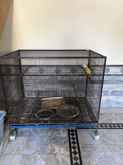 Cage for sale
